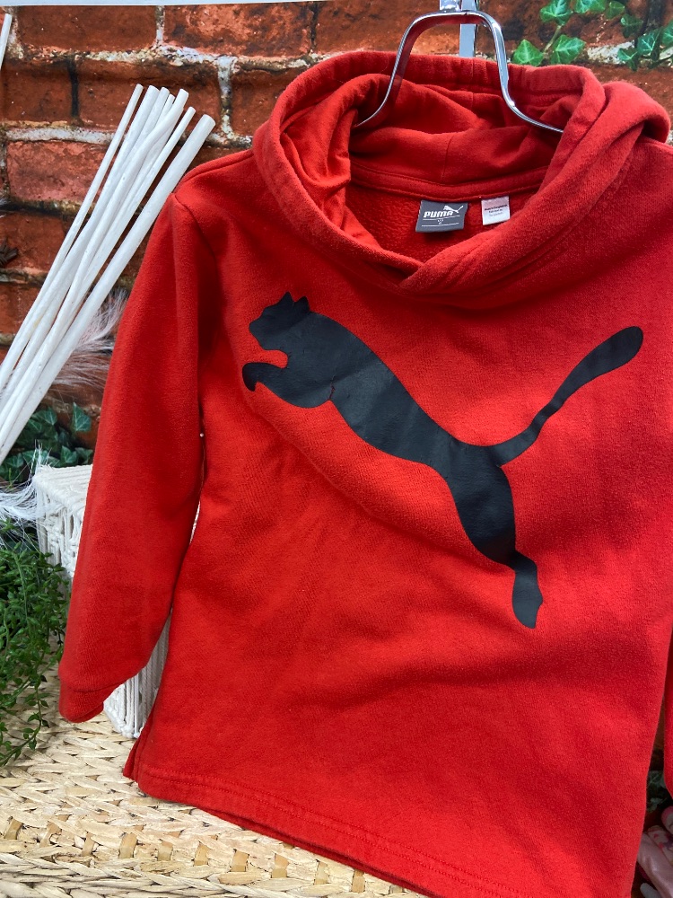 Puma hoodie toddler 6
