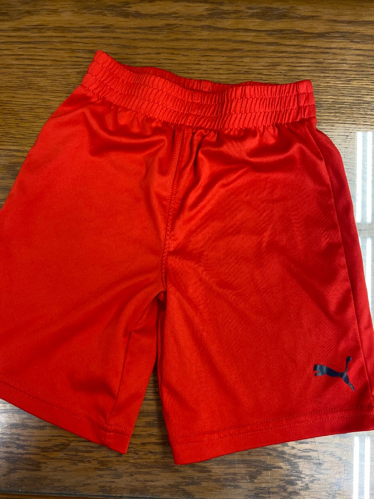 Puma shorts toddler 6